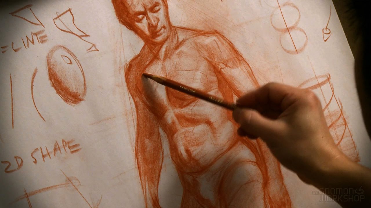 Anatomy
